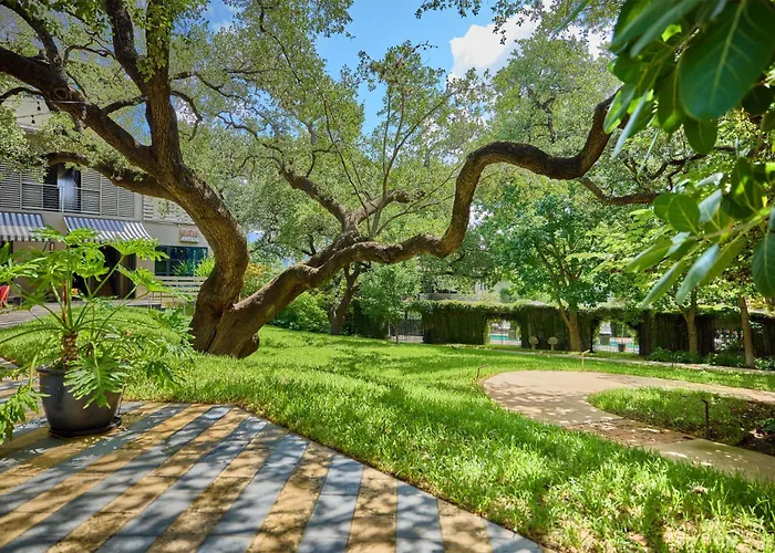 Hotel Saint Cecilia Austin